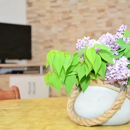 Plavi Val Apartamento *