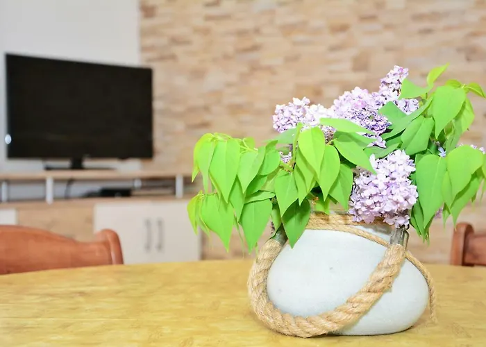 Plavi Val דירה *